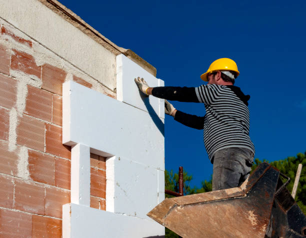 Best Residential Insulation in Mount Dora, FL
