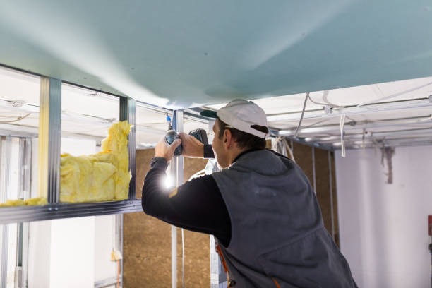 Best Energy Efficiency Insulation in Mount Dora, FL