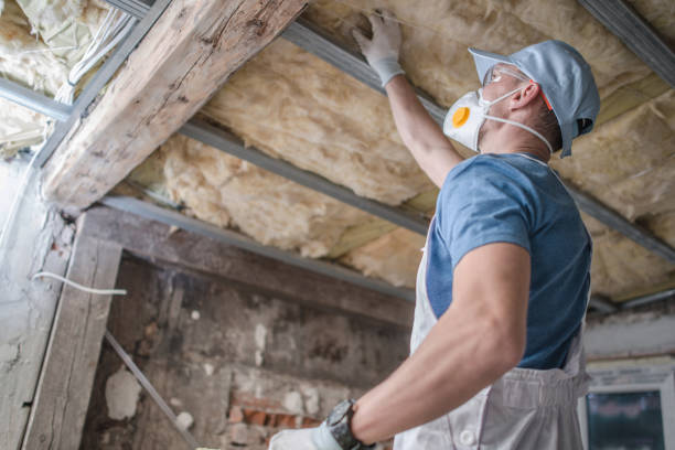 Types of Insulation We Offer in Mount Dora, FL
