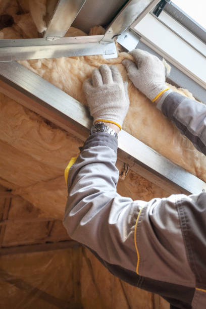 Best Commercial Insulation in Mount Dora, FL