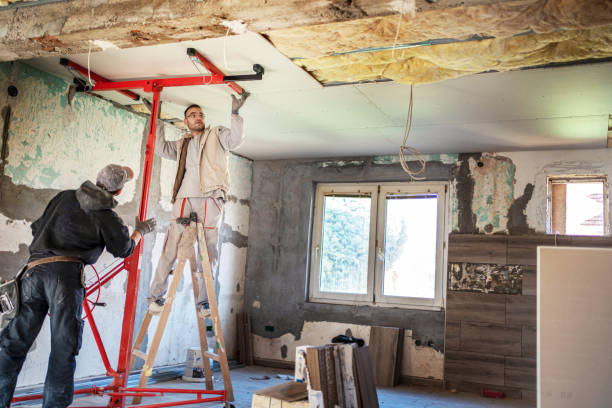 Best Energy Efficiency Insulation in Mount Dora, FL