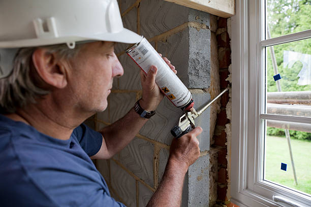 Best Specialized Insulation Services in Mount Dora, FL