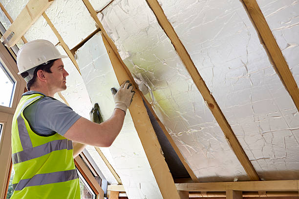 Best Cellulose Insulation in Mount Dora, FL