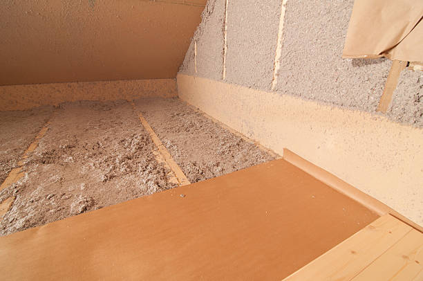 Best Specialized Insulation Services in Mount Dora, FL