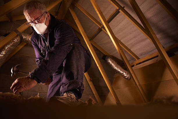 Best Spray Foam Insulation in Mount Dora, FL